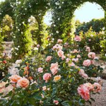 Petunia’s Garden