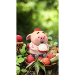 DIE SCHÖN SCHWEINE