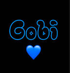 Gobi.