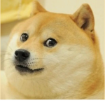 Officials doge group