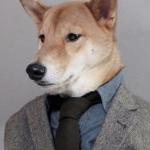 The Borkland Secret Services