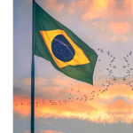 CM Brasileira