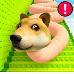 Climb Doge Tower!