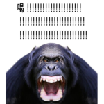 농농단