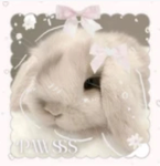 ‘pawsss