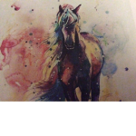 :» Rp Riders! «:
