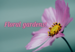 - Floral gardens -