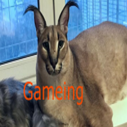 big_floppa_Gameing Roblox decal