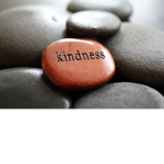 the spark of kindness