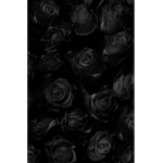 DARKNESS CHILDS c: