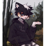 Medicine cat cult