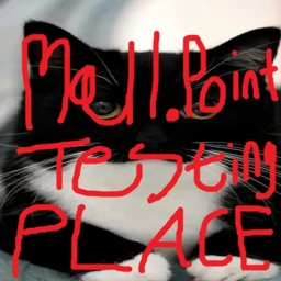 mall.testing_place icon