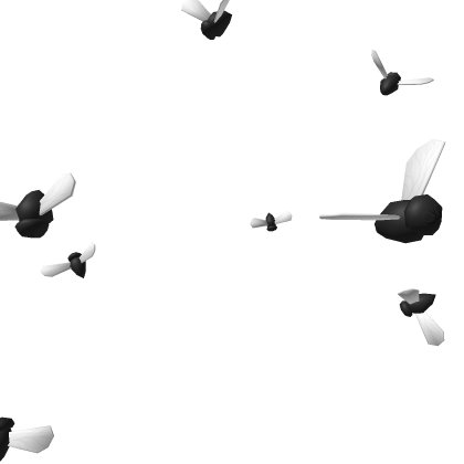 Flies
