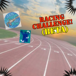 Racing Challenge