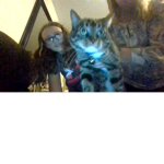Mittens Fan Club "meow"