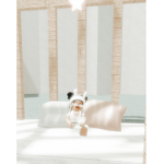 glowingstrxberry official group