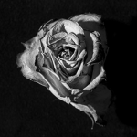 [HOPE]