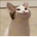 POPCAT AMRY
