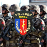 [NA PLASOF]中华人民共和国解放军宁安训练基地特种部队