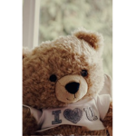 TeddyBears anyone can join