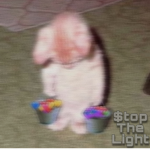 $topTheLight