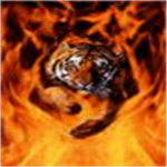 Tiger club