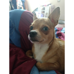 Her name is Lola
