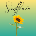 Cool Sunflowers