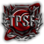 The Professianal Sword Fighters