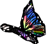 Bold Butterflies