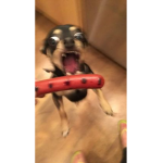Hhh_uhhhh