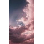 aesthetic_bloom