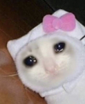 yay roblox is cool