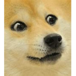 The DOGE-CORP