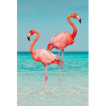 Flamingo Robloxian
