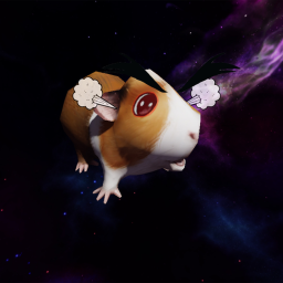 CART RIDE INTO A GUINEA PIG