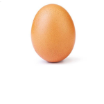Egg Studio.