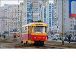 Nids Buses