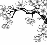 Blossom Enc.