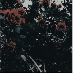♥