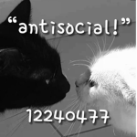 “antisocial!”