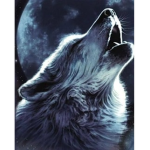 The Wolf Fan’s only