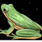 Ink Froggy Squad