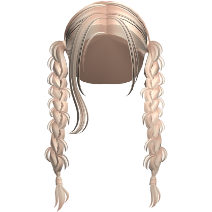 Country Girl Braids in Blonde w/ Black Streaks
