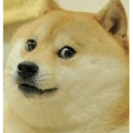 cool doge army!!