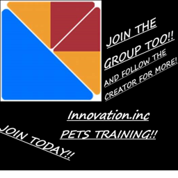 PET Training arena!