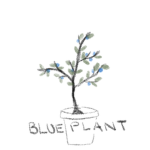 Blue Plant Group