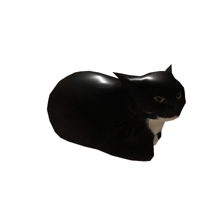 Huge maxwell