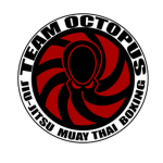 Octopus Team (Mr HD Games)