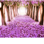Good vibes happy day